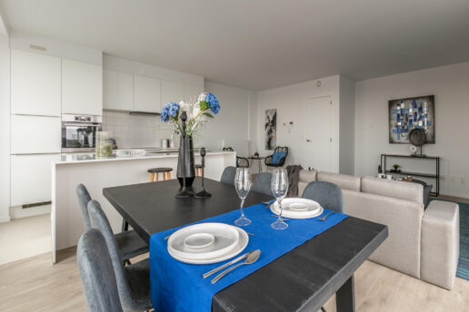Molenbeek – Ekla – penthouse 17