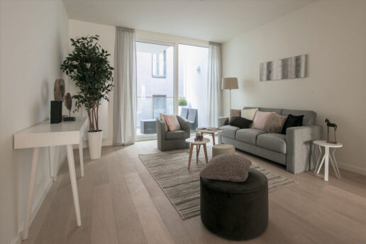 Antwerpen – Project Leopold