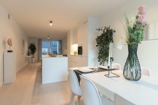 Antwerpen – Project Leopold