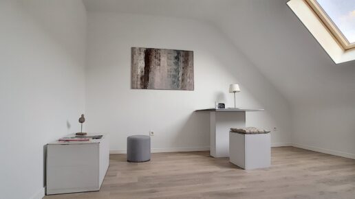 Sint-Niklaas – Project Hector