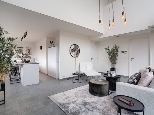 Aalst – Brouwerijstraat 12 Loft B2.2