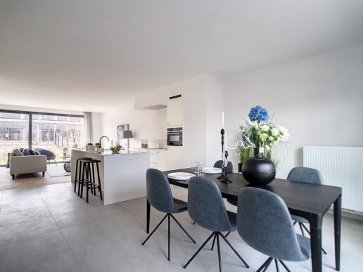 Oudenaarde – Trekweg Linkeroever Woning 1.6